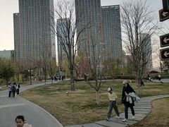 -西海子公园