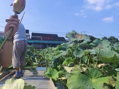 -渔娘蟹庄(阳澄湖莲花岛店)