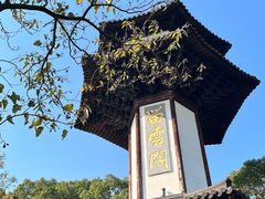 -上海佘山国家森林公园天马山园