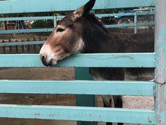 -酷鱼垂钓CLUB(朝阳区博大路店 )