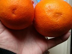 -鲜丰水果(大武汉1911店)