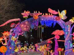 -沈阳奥体冰雪嘉年华