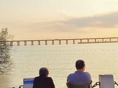 -宝安西湾红树林湿地公园