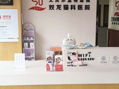 -艾贝尔宠物医院·24H转诊中心·肿瘤猫专科(江宁双龙店)
