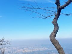 -紫金山山顶公园