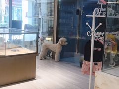 -悠尼宠物·独立低压伊珊娜洗护·美容·寄养(兰谷路店)
