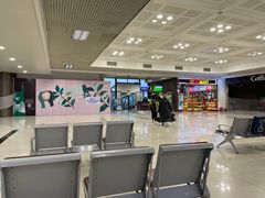 -河内内排国际机场