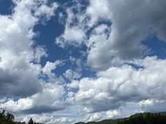 -五营红松林海景区