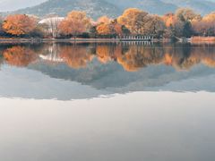-国家植物园