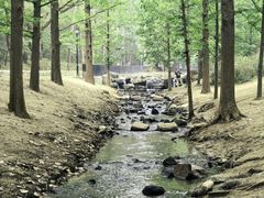 -白水寺森林公园