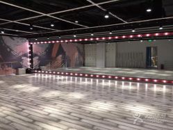 -STUDIO E POLE DANCE
