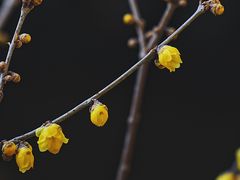 -颐和园