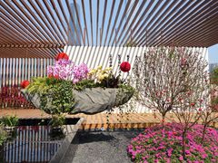 -海心沙亚运公园