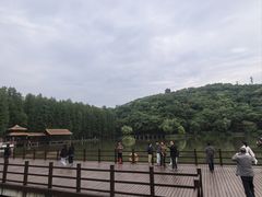 -采石矶景区