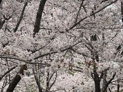 -堤角公园