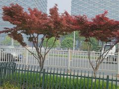 -维也纳国际酒店·江苏苏州火车站北广场店