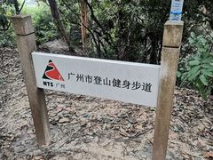 -火炉山森林公园