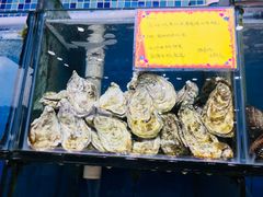-蚝专家(北滘店)