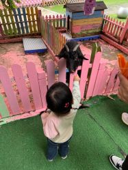 -萌宠亲子动物乐园(槐房万达店)