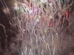 -花博汇(知音花月夜)