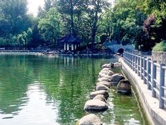 -莲湖公园
