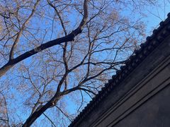 -北京国子监胡同