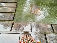 -趵突泉景区