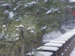 -爱新觉罗皇家博物院