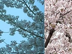 -龙美术馆(西岸馆)