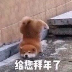 -星耀美业·品质网购