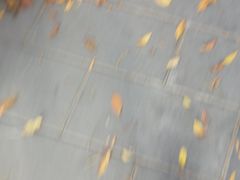 -石家庄海洋公园