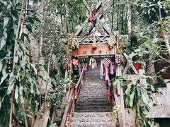 -西双版纳原始森林公园