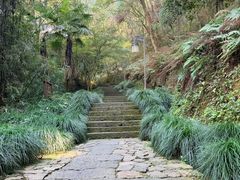 -梦姑塘文化公园