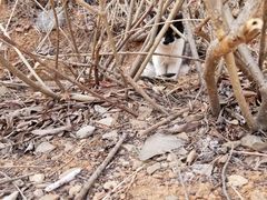 -北京西山国家森林公园