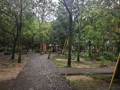 -四会奇石河风景区
