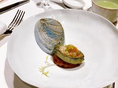 老豆腐冬茸蒸黑蓝鲍-宝丽轩中餐厅BAOLIXUAN