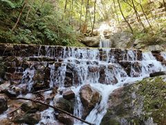 -青峰峡国家森林公园