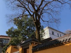 -宝通禅寺