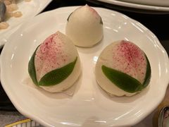 寿桃-新南华大酒店(长寿店)