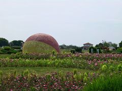 -空港花田景区