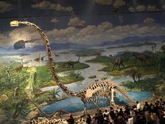 -自贡恐龙博物馆