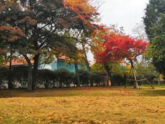 -八大关景区