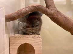 -龙猫仔乐园(惠福东路店)