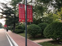 -山东鲁能乒乓球学校