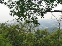 -香山公园