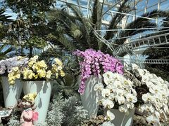 -石家庄市植物园