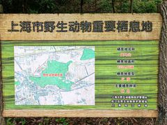 -上海佘山国家森林公园天马山园