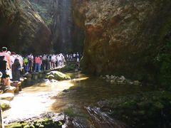 -牛背梁国家森林公园