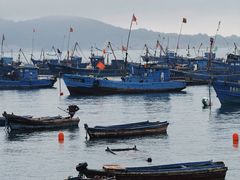 -海源公园
