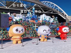-沈阳奥体冰雪嘉年华